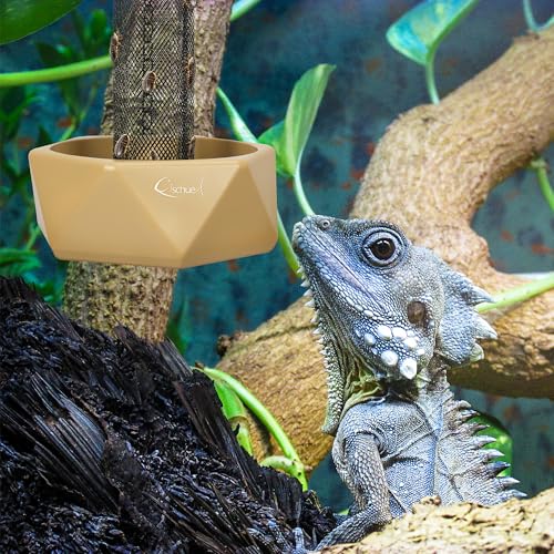 Chameleon Feeding Bowl, Hanging Insect Feeder with a Pillar for Prey to Climb Up, Suitable for Chameleon, Bearded Dragon, Lizard, Iguana, Gecko(Khaki) - color: Khaki