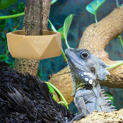 Chameleon Feeding Bowl, Hanging Insect Feeder with a Pillar for Prey to Climb Up, Suitable for Chameleon, Bearded Dragon, Lizard, Iguana, Gecko(Khaki) - color: Khaki