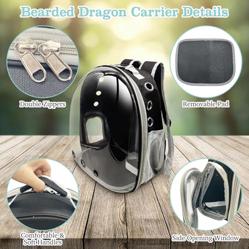 PINVNBY Bearded Dragon Carrier Backpack with Harness and Leash Set Large Reptile Travel Carrier Portable Lizard Backpack Clear Bubble Window Small Animal Carrying Bag for Gecko Kitten Rabbit (Black) - color: Black