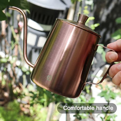 Watering Can for Indoor Plants Long Spout Metal Stainless Steel 21 oz Small Watering Can with 14 oz Glass Plant Mister Spray Bottle for Plants Bonsai - color: Rose Gold Watering Can+tawny Clear Spray Bottle