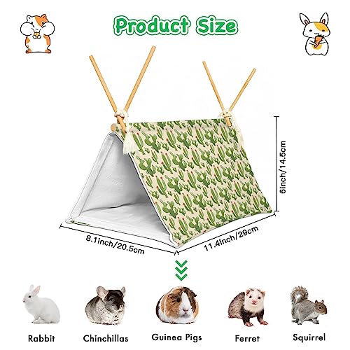Bearded Dragon Reptile Sleeping Bed Tent Hide Tank Decor Accessories Habitat Shelter for Lizard Bearded Dragon Leopard Gecko (Cactus 1)