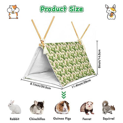 Bearded Dragon Reptile Sleeping Bed Tent Hide Tank Decor Accessories Habitat Shelter for Lizard Bearded Dragon Leopard Gecko (Cactus 1)