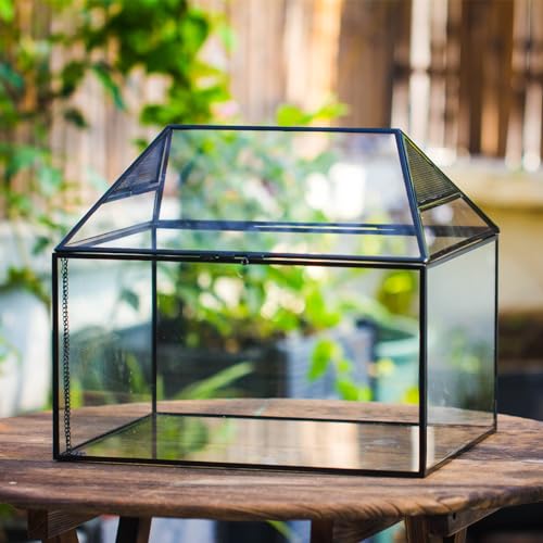 NCYP Large Geometric Glass Terrarium Box with Swing Lid for Tarantula, Snail - 14x12x12 Inches Glass Enclosure (Terrarium Only)