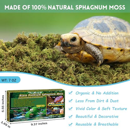Riare 7 OZ Natural Sphagnum Moss for Reptiles, Terrarium Substrate Bedding | 6QT High Expansion, Moisture Retention, Helps Shedding, Long Fibered Dried Moss for Leopard Gecko, Snake, Frog, Turtle - color: 7 OZ