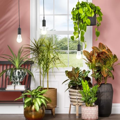 6 Pack LED Grow Light Bulbs，Full Spectrum Plant Light Bulb, 9W Replace 100W | 120V E26 Grow Bulb,Grow Light for Indoor Plants, Flowers, Greenhouse, Indore Garden, Hydroponic - size: 6 Count (Pack of 1)