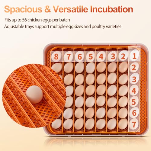 56 Egg Incubator, Fully Automatic Egg Turner & Humidity Control, High Hatch Rate Poultry Incubator with LED Candler, 360° View for Chicken, Duck, Quail Eggs – Beginner Friendly