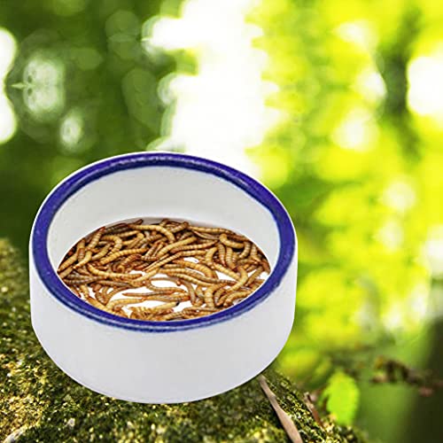 Bowls Terrarium Feeding Worm Dish Mealworm Feeder Dish Ceramic Bowl for Snake Spiders Water Bowl