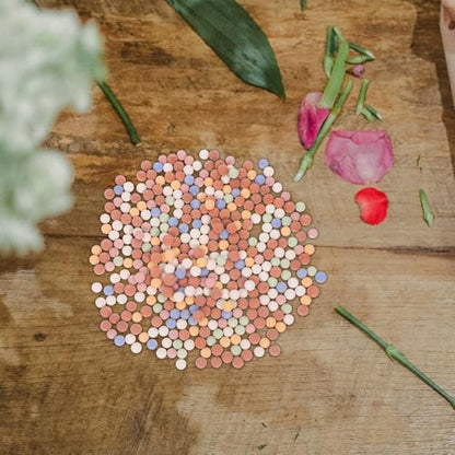 jojofuny Colorful Clay Pebbles and Small River Rocks for Indoor Plants Hydroponics 11-12mm Large Ceramic Balls Lightweight Growing Media for Succulent Planters and Terrarium Gardening