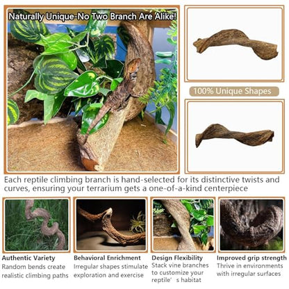 BNOSDM 2Pcs Reptile Climbing Branches Decor,2.5-3.25" Think Snake Climbing Branch,Gecko Climb Wood,Lizard Bold Forest Branch,Tank Habitat Tree Trunk Decorations for Bearded Dragons,Chameleons,Frogs - size: 2PCS|XL:2.50-3.25"D,13"L