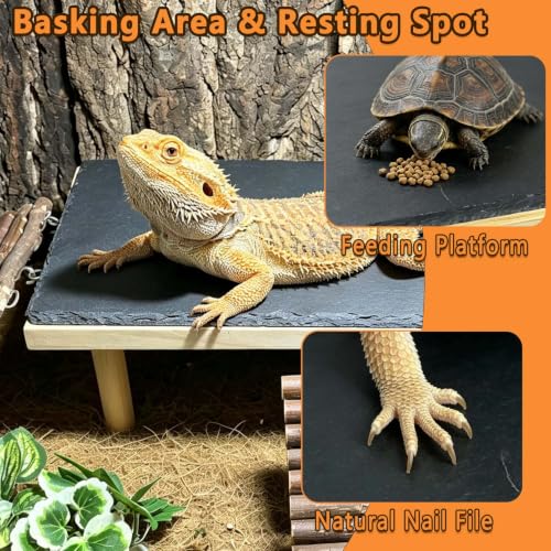 Bearded Dragon Basking Platform with Climbing Ramp,Reptile Basking Rock (M) | Wooden Lizard Resting Platform Basking Rock Slate,Leopard Gecko Hide Cave Tank Accessories for Tortoise Snake - size: M: 11.8" x 6" x 4.56"