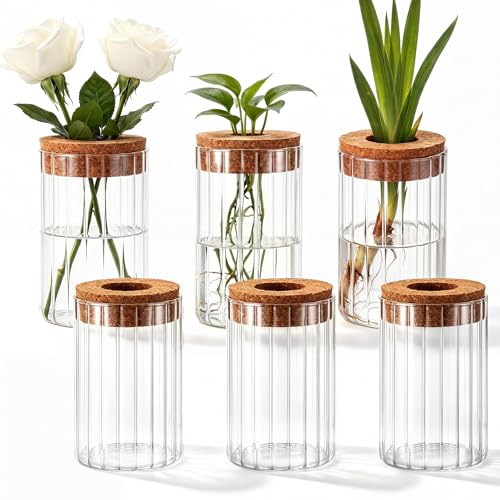 6 Set Propagation Station Jar Desktop Glass Planter Station Flower Vases Water Terrarium Jar with Cork Lid for Propagating Flower Plants Centerpiece Office Home Garden Decor (Small) - size: Small