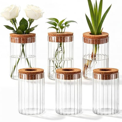 6 Set Propagation Station Jar Desktop Glass Planter Station Flower Vases Water Terrarium Jar with Cork Lid for Propagating Flower Plants Centerpiece Office Home Garden Decor (Small) - size: Small