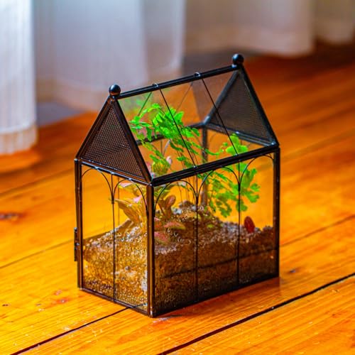 NCYP Small Glass Terrarium Enclosure with Mesh for Jumping Spiders, Micro House Shaped Small Spiders Vented Glass Terrarium, Home Decor Black, 5.8" x 3.8" x 7" (No Plants) - size: 5.8" x 3.8" x 7"