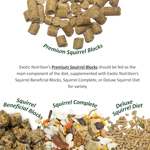 Exotic Nutrition Squirrel Complete (4 lb.) - Healthy Natural Food for Squirrels - Ground, Grey, and Flying Squirrels - size: 4 Pound (Pack of 1)