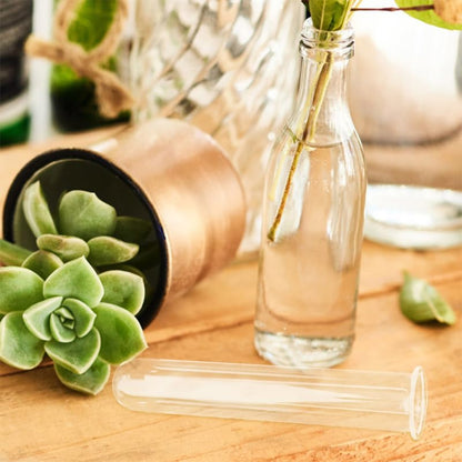 TOYANDONA 4pcs Glass Test Tube Vase Hydroponic Plant Holder Small Glass Propagation Tubes for Desktop Terrarium Decoration Home Garden