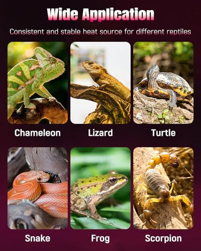 Pawfly 28 W Reptile Heat Pad 11 x 11 Inch Reptile Heating Pad Under Tank Terrarium Safe Fast Heating Mat Heat Mat for Turtles Frogs Snakes Lizards Geckos Hermit Crabs Spiders & Other Reptiles - size: 28W ( 11 x 11 Inch)