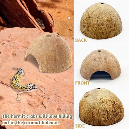PINVNBY 6 PCS Natural Coconut Reptile Hideouts Lizard Coco Hut Hermit Crab Hut Aquarium Fish Hide Cave Spider Snail Climber Toys - size: 6 PCS Smooth Surface