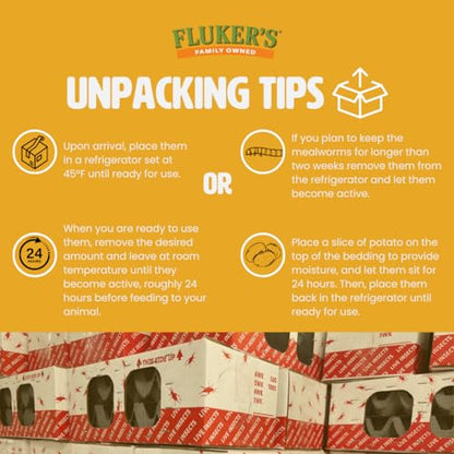 Fluker's Live Mealworms, 10000 Count Feeder Insects for Reptiles, Chickens, and Birds, Medium (Approx. 3/4") - size: 10000 Count (Pack of 1), style: Medium, 3/4"