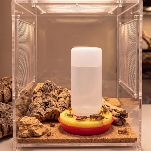 Auto Cricket Waterer Kit Insect Water Feeder with 6 Pcs Circular Sponge Insect Water Dispenser for Feeder Insects Cricket Spider Ant Tarantula