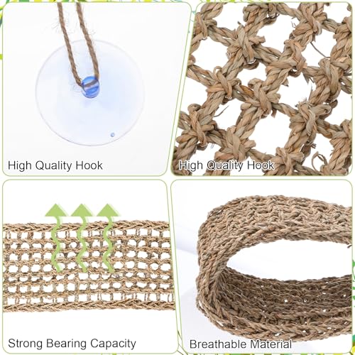 2 Pcs Bearded Dragon Hammock Reptile Lounger, Natural Seagrass Climbing Habitat Decor with Jungle Theme for Lizards, Geckos, Snakes, Iguanas, Amphibians and Terrarium