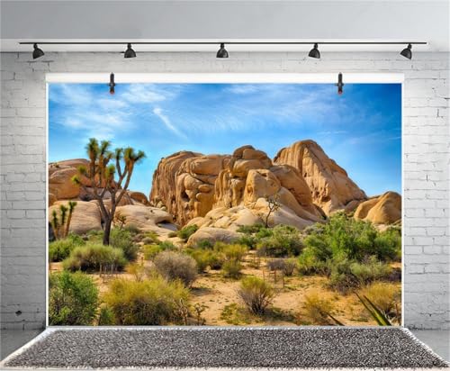 Polyester 5x3ft Joshua Tree National Park Backdrop Arid Barren Cactus Sandstone Rock Climate Mountain and Desert Scenery Backdrop Desert Terrarium Background | Arid Barren Cactus Sandstone Rock Climate Mountain and Desert Scenery Backdrop, Polyester - siz