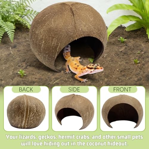 PINVNBY Large Natural Coconut Reptile Hideouts Lizard, Coco Hut Hermit Crab Hut Aquarium Fish Hide Cave for Small Reptile Crested Gecko Leopard Gecko Spider Snail Climber Toys - size: Extra Large Size, 1 PCS
