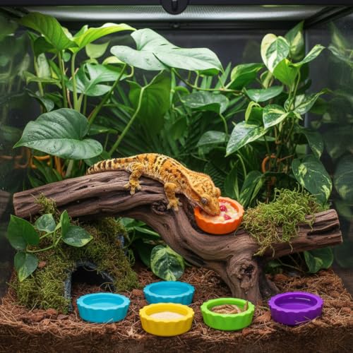12 Pack Pangea Crested Gecko Food Dish, Reusable Small Reptile Feeding Dish, Water Bowl Crested Gecko Tank Accessories for Hermit Crab Tarantula Isopods Snails Lizard(Silicone, 6 Colors)
