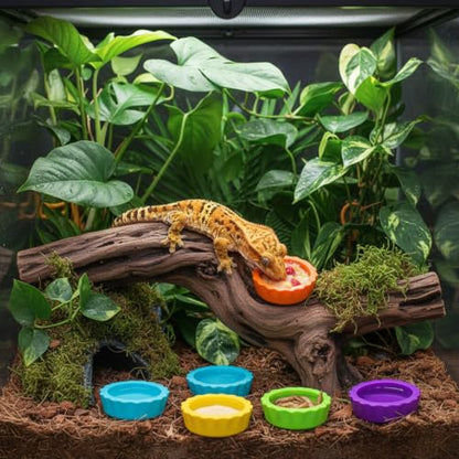 12 Pack Pangea Crested Gecko Food Dish, Reusable Small Reptile Feeding Dish, Water Bowl Crested Gecko Tank Accessories for Hermit Crab Tarantula Isopods Snails Lizard(Silicone, 6 Colors)