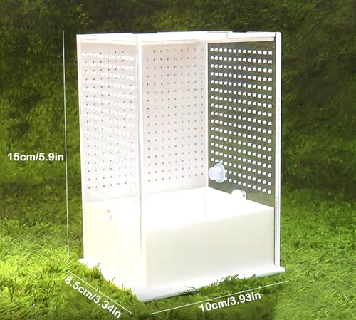 OMEM Reptile Breeding Box, Insect Incubator, for Orchid Mantis, African Phantom Mantis, Reptile Resting Habitat and Entertainment