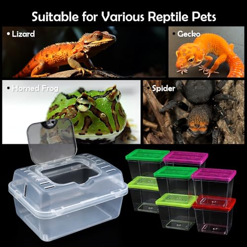 1 Pack Clear Portable Insect Reptile Terrarium Tank with Handle for Spider Snail Turtle Hermit Crab Gecko Insects Small Reptiles (with 10 Pack Small Plastic Reptile Carrier)