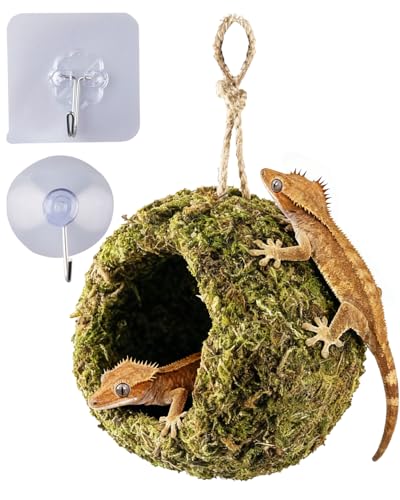 Handmade Crested Gecko Tank Accessories – Bearded Dragon Accessories, Reptile Hideout, Hermit Crab and Small Reptile Habitat 4.7×3.5×9in
