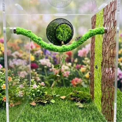 6PCS Magnetic Jumping Spider Hideout & Climbing Mesh Set(D) | Complete Enclosure Accessories Kit with Moss Hideout, Climbing & Hiding Decor for Small Reptiles, Tarantulas, Mantises