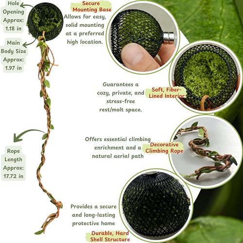 Jumping Spider Tarantula Enclosure Climbing Bridge Decor, Jumping Spider Hideout Rope Bridge 2pcs Climbing Web Net with 8pcs Suction Cups Hook, Accessories For Tarantula Reptile Enclosure (Green)