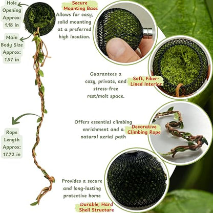 Jumping Spider Tarantula Enclosure Climbing Bridge Decor, Jumping Spider Hideout Rope Bridge 2pcs Climbing Web Net with 8pcs Suction Cups Hook, Accessories For Tarantula Reptile Enclosure (Green)