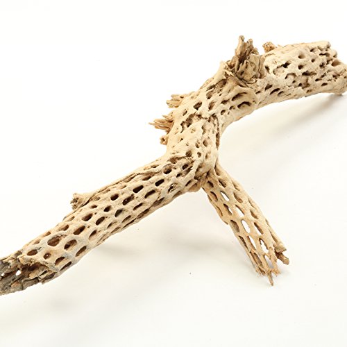Koyal Wholesale 18-20" Cholla Wood Aquarium Leopard Gecko Tank Accessories Untreated Large Driftwood for Aquarium Wood Hermit Crab Accessories Drift Wood for Shrimp Tank Gecko Accessories - size: 18 / 20-Inch