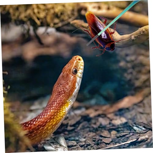 Abaodam 2pcs Stainless Steel Pet Feeding Tongs for Geckos Reptiles Aquarium Tweezers Clamp for Fish Easy Handling Pet Feeding Tools