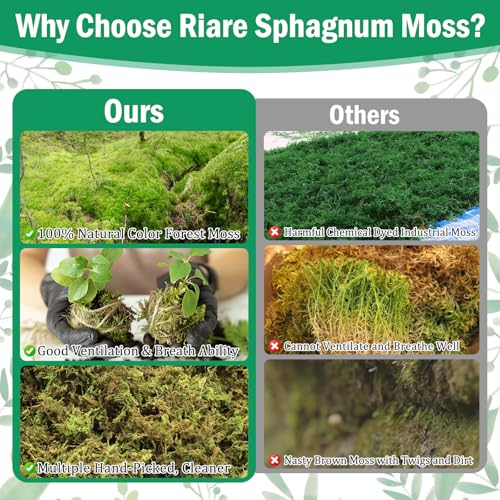 Riare 2.8LB Premium Sphagnum Moss for Plants- 55QT Natural Dried Plant Moss | Moisture Retention & Drainage Orchid Moss for Repotting, Succulents, Carnivorous, Ferns, Green Moss for DIY Craft, Reptiles - size: 55 QT(Appx.2.8lbs)