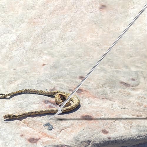 BESPORTBLE Snake Capture Hook Garbage Collector Snake Tong Crab Tools Snake Clips Reptile Tweezers Snake Pole Grabber and Catcher Grabber Tool to Feed Lizard Elder Stainless Steel