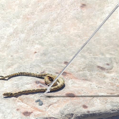 BESPORTBLE Snake Capture Hook Garbage Collector Snake Tong Crab Tools Snake Clips Reptile Tweezers Snake Pole Grabber and Catcher Grabber Tool to Feed Lizard Elder Stainless Steel