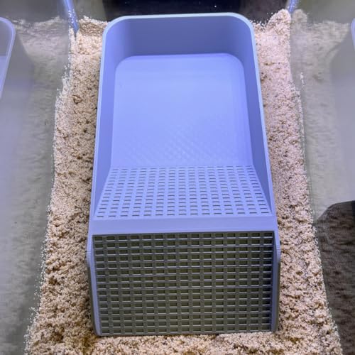 Hermit Crab, Lizard, Turtle, Amphibian XL Watering Pool | Platform Pool Accessory with Access Ramp for Pet Habitats | 9.75" x 5" | Made in USA (X-Large) (Fresh Only, Gray) - color: Fresh Only, Gray
