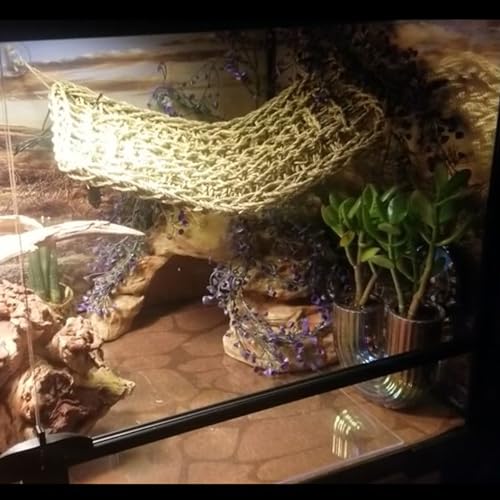 4 PCS Bearded Dragon Hammock,Lizard Lounger Reptile Natural Seagrass Hammocks Climb Vines Plant Decoration Terrarium Accessories for Lizards Chameleon Gecko Snakes Crown Geckos