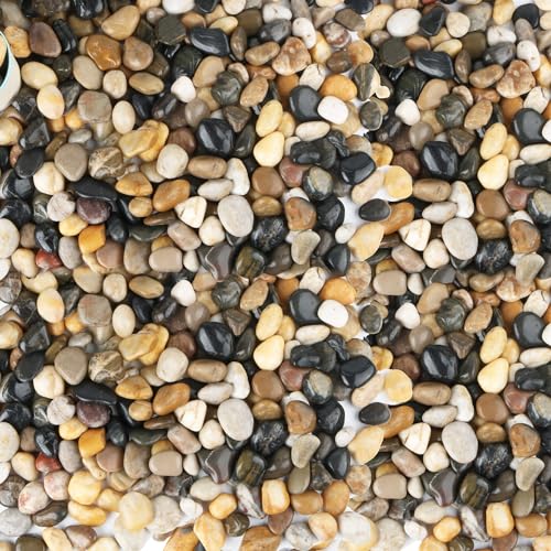 45lb Polished Pebbles for Plants Potting,Succulents Aquarium Fish Tank Vases-Decorative River Rocks Garden Gravel Stones - size: 45LB, style: Colour