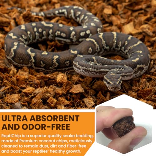 ReptiChip Reptile Bedding Loose Coconut Chip 12 Quart Coco Husk Substrate Mulch for Snake Habitat, Ball Python Terrarium, Turtle Tanks, Tortoise Enclosure