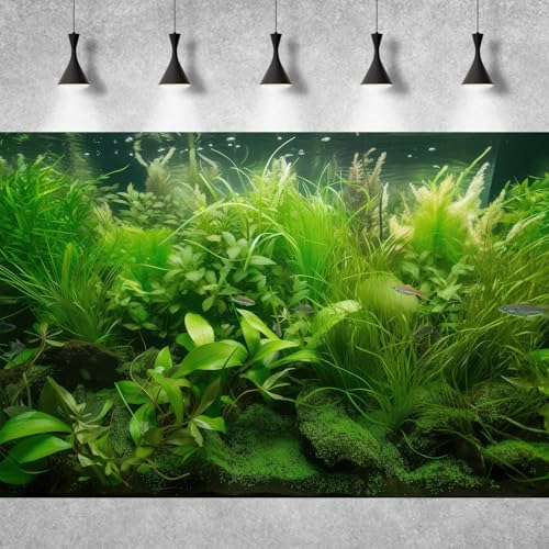 Underwater Aquarium Background Diverse Collection of Aquatic Plants Fish Tank Background Lush Green Seagrass Aquarium Terrarium Background Jungle Style Reptile Habitat Background Vinyl 24x12in - color: Grass Green, size: 24(W)x12(H)in