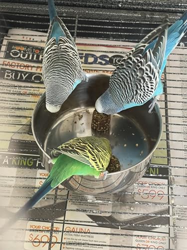 Harrison's Bird Foods Nuggies Treats - A Revolutionary High Potency Nuggets Treat Designed to Support Bird Health and Diet Transitions, 196g
