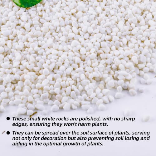 CJGQ 1/4" Small White Rocks for Plants,Potting,Succulents Aquarium Fish Tank Garden Vases Decorative Pebbles Gravel Rocks Stones 45lb - color: white, size: 45lb