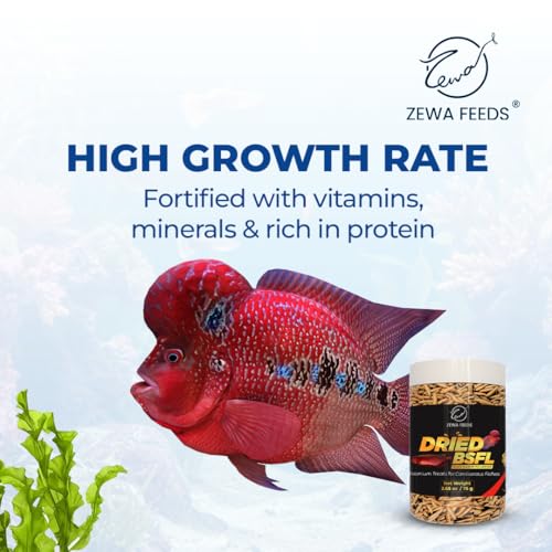 Dried Black Soldier Fly Larvae - 100% Natural, Protein Rich Fish Food for Arowana, Flower Horn, Oscar, Parrots, Reptiles (75 g/2.65 Oz/500 ml)