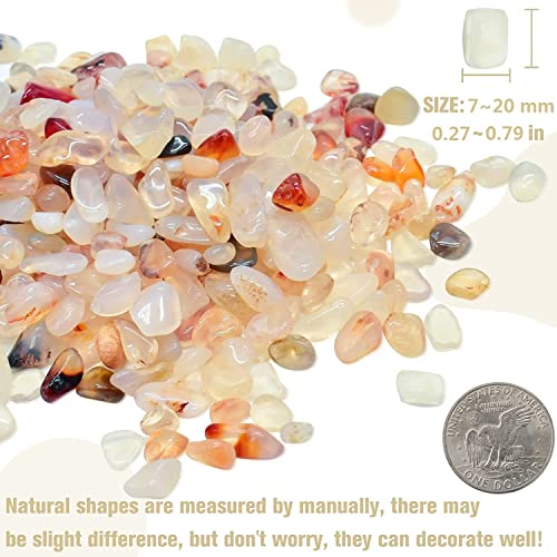 Halatool 1LB Aquarium Gravel, 0.27"-0.79" Crystal Pebbles for Fish & Plants | Polished, Safe, Landscaping Pebbles for Fish Tanks, Succulents, Plant Top Dressing, Fairy Gardens, Vase Filler, Home Decor - size: 1 LB, style: Crystal Pebbles