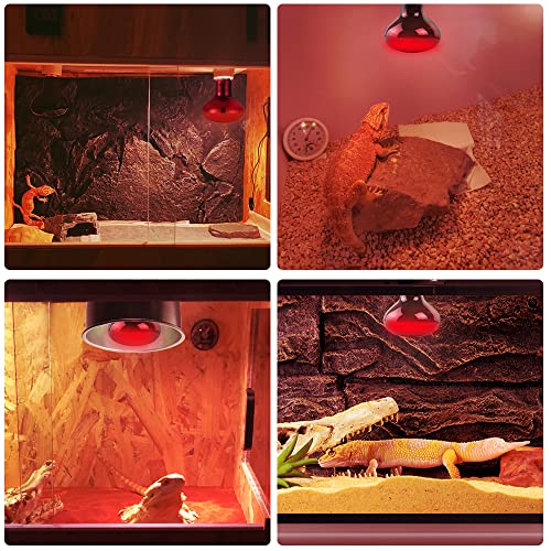 LUCKY HERP Infrared Heat Lamp 50W 2 Pack，Reptile & Amphibian Basking Spot Light Bulbs, Red Heat Lamp Bulbs for Reptiles, Bearded Dragon, Turtle, Lizard, Snake, Chicken - size: 50