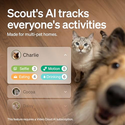 PETLIBRO Cat & Dog Camera with Multi-Pet Recognition, Individual Timelines, Activity Tracking, Smart Summaries, Indoor AI Pet Camera - color: Black, size: with 7-Day AI Trial